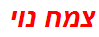 צמח נוי