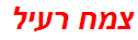 צמח רעיל