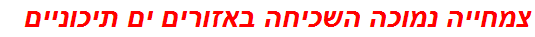 צמחייה נמוכה השכיחה באזורים ים תיכוניים