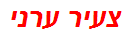 צעיר ערני