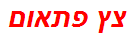 צץ פתאום