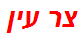 צר עין