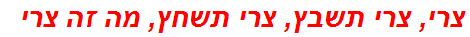 צרי, צרי תשבץ, צרי תשחץ, מה זה צרי