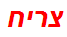 צריח