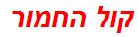 קול החמור