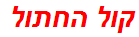 קול החתול