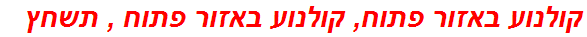 קולנוע באזור פתוח, קולנוע באזור פתוח , תשחץ