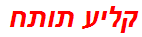 קליע תותח