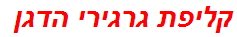 קליפת גרגירי הדגן