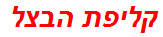 קליפת הבצל