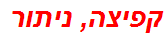 קפיצה, ניתור