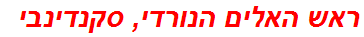 ראש האלים הנורדי, סקנדינבי