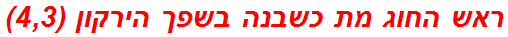 ראש החוג מת כשבנה בשפך הירקון (4,3)