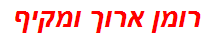 רומן ארוך ומקיף