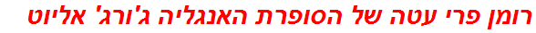 רומן פרי עטה של הסופרת האנגליה ג'ורג' אליוט