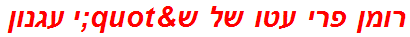 רומן פרי עטו של ש"י עגנון