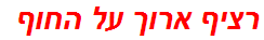 רציף ארוך על החוף