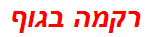 רקמה בגוף