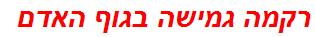 רקמה גמישה בגוף האדם