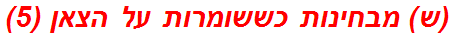 (ש) מבחינות כששומרות על הצאן (5)