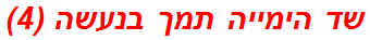 שד הימייה תמך בנעשה (4)