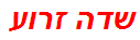 שדה זרוע