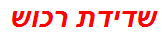 שדידת רכוש