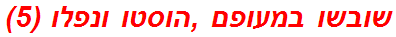 שובשו במעופם ,הוסטו ונפלו (5)