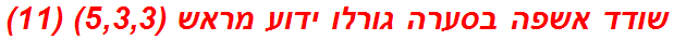 שודד אשפה בסערה גורלו ידוע מראש (5,3,3) (11)