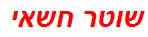 שוטר חשאי