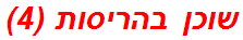 שוכן בהריסות (4)