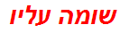 שומה עליו