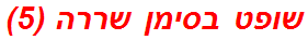 שופט בסימן שררה (5)