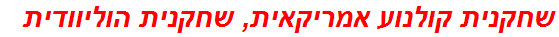 שחקנית קולנוע אמריקאית, שחקנית הוליוודית