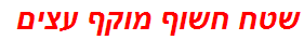 שטח חשוף מוקף עצים