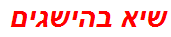 שיא בהישגים