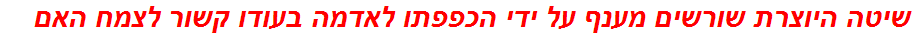 שיטה היוצרת שורשים מענף על ידי הכפפתו לאדמה בעודו קשור לצמח האם