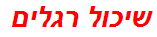 שיכול רגלים