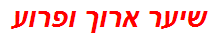 שיער ארוך ופרוע