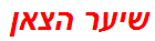 שיער הצאן