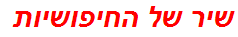 שיר של החיפושיות