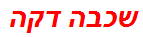 שכבה דקה