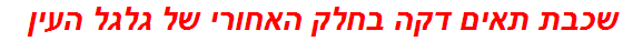 שכבת תאים דקה בחלק האחורי של גלגל העין