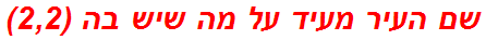 שם העיר מעיד על מה שיש בה (2,2)