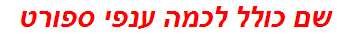 שם כולל לכמה ענפי ספורט