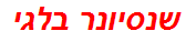 שנסיונר בלגי