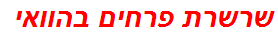 שרשרת פרחים בהוואי