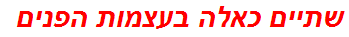שתיים כאלה בעצמות הפנים