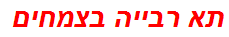 תא רבייה בצמחים