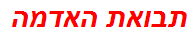 תבואת האדמה